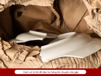 Các cách xử lý khi phải chuyển nhà đột ngột cực kỳ hữu ích