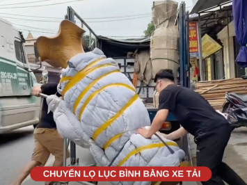 Cách vận chuyển lọ lục bình an toàn, hiệu quả khi chuyển nhà