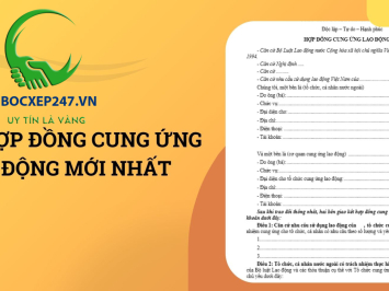 Cung ứng lao động có hợp đồng
