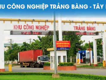 Cung Ứng Lao Động Khu Công Nghiệp Trảng Bàng: Giải Pháp Toàn Diện Từ Bốc Xếp 247