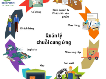 Cung Ứng Lao Động Logistics | Dịch Vụ Bốc Xếp 247
