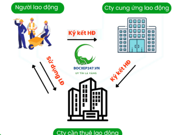Dịch Vụ Cung Ứng Lao Động TPHCM & Toàn Quốc Nhanh, Giá Chỉ Từ 150K/Ca, Uy Tín 24/7
