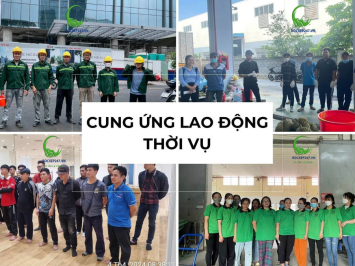 Dịch Vụ Cung Ứng Lao Động Thời Vụ Chuyên Nghiệp – Bốc Xếp 247