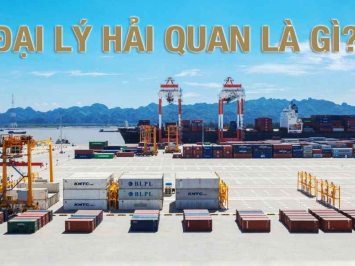 Đại lý hải quan là gì? Mẫu hợp đồng đại lý hải quan mới nhất