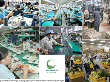 Thuê lao động phổ thông số lượng lớn