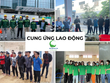Cung ứng lao động thời vụ ngắn hạn