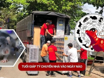 Tuổi Giáp Tý Chuyển Nhà Vào Ngày Nào Tốt Năm 2025? 